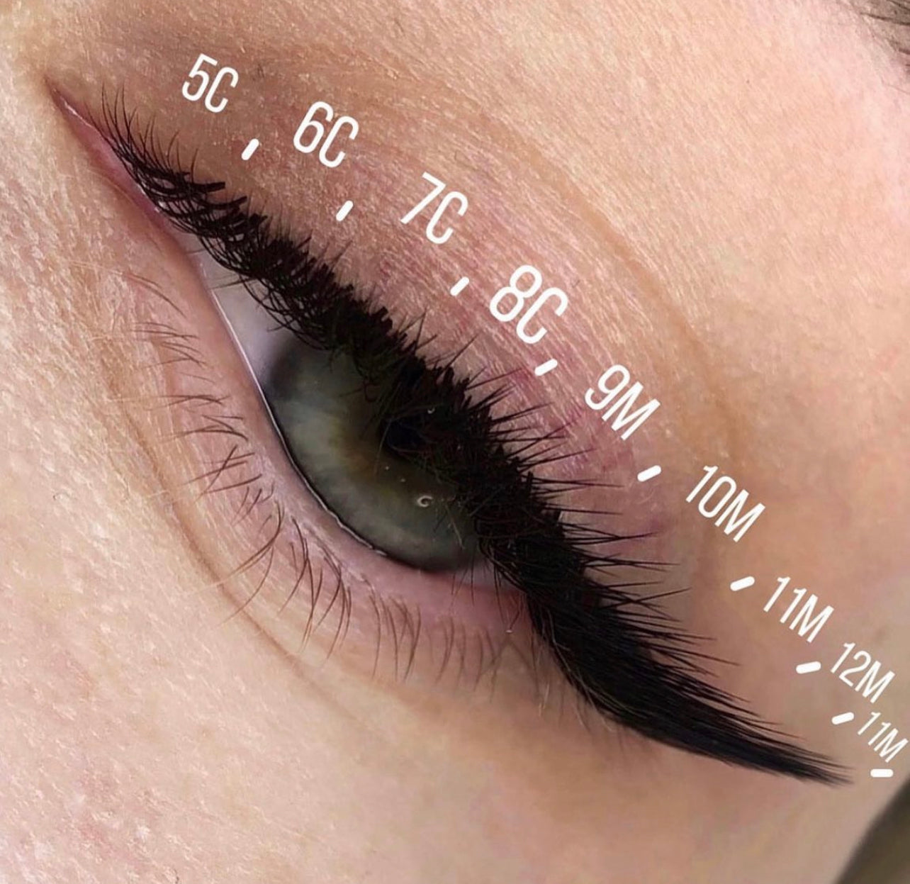 Lash Extensions - LOVELY -  Silicone C+